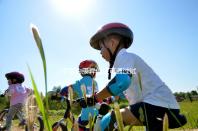 子宮內膜異位癥可通過試管嬰兒技術，解決不孕難題