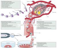 學(xué)醫(yī)實(shí)習(xí)醫(yī)院