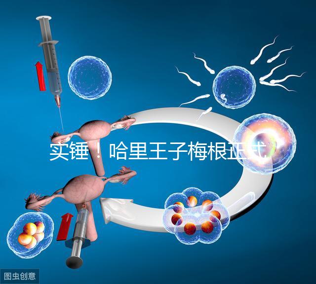 實錘！哈里王子梅根正式公布寶寶名字：阿爾奇·哈里森