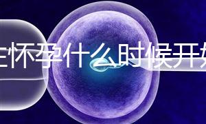 女性懷孕什么時(shí)候開(kāi)始更準(zhǔn)確?