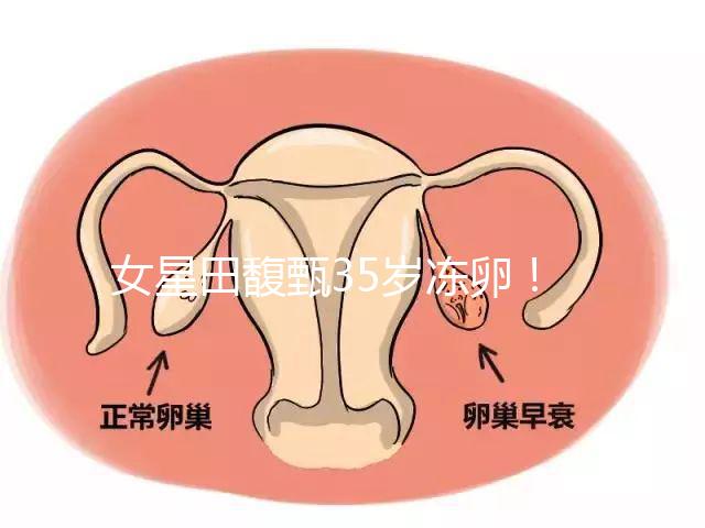 女星田馥甄35歲凍卵!揭秘你不知道的明星凍卵過程