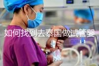 如何找到去泰國做試管嬰兒的本地翻譯?內部搜索可靠的本地翻譯方法分析