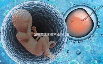 如果囊胚移植不成功,身體會有什么反應(yīng)?除腹痛外,這三個方面也需要注意