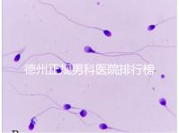 德州正規男科醫院排行榜分享！2024哪個最好一看便知