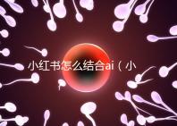 小紅書怎么結合ai(小紅書如何運用)