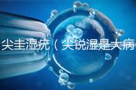 尖圭濕疣(尖銳濕是大病還是小病)