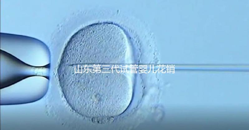 山東第三代試管嬰兒花銷全解析：詳細價格一覽，輕松做好預算準備
