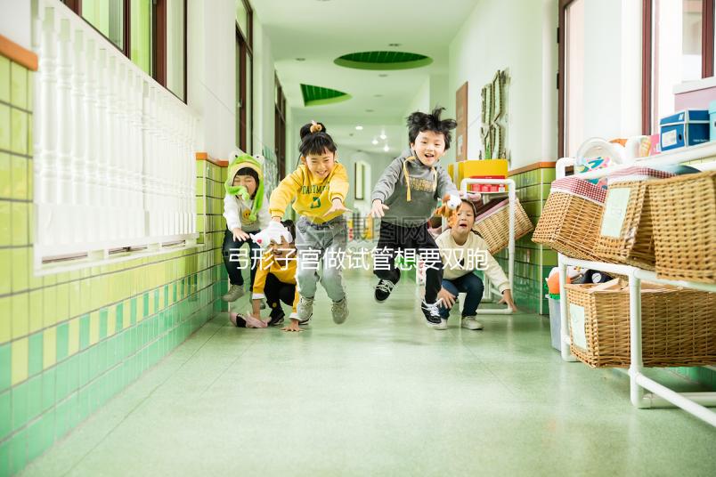 弓形子宮做試管想要雙胞胎，這4個(gè)條件成為攔路虎！