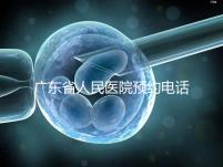 廣東省人民醫院預約電話(廣東省人民醫院預約電話是多少)