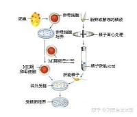 選對成功一半!來看看海南哪家醫院能做三代試管嬰兒