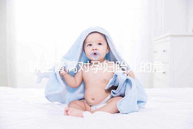 野生青蒿對孕婦胎兒的危害多，能否泡腳、洗澡看這里