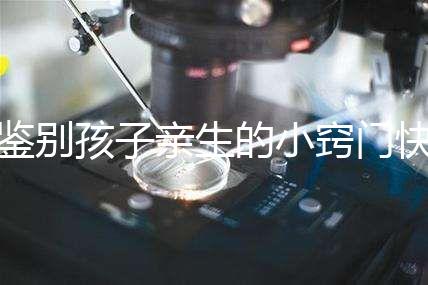 鑒別孩子親生的小竅門快收藏，取牙刷樣本準不準分情況