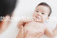 防風(fēng)的作用與功效(防風(fēng)的作用與功效與作用)