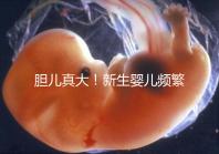 膽兒真大！新生嬰兒頻繁打嗝不要游泳以免嗆水