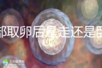 腹部取卵后是走還是臥床?適當(dāng)走路喝點紅豆水是正確做法