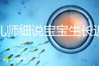 育兒師細(xì)說(shuō)寶寶生長(zhǎng)遲緩評(píng)價(jià)標(biāo)準(zhǔn),不合格的要重視了