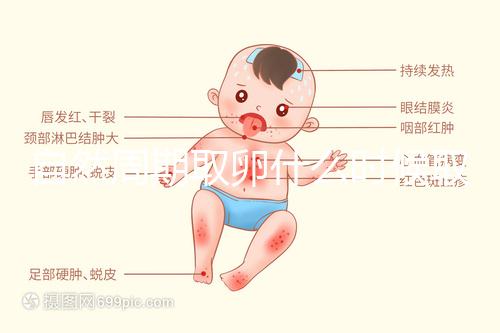 自然周期取卵什么時候??？最佳時間應控制在這個時候