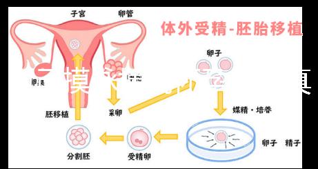 自己摸脈搏測懷孕方法真不難,想準(zhǔn)確率高關(guān)鍵是找對手法