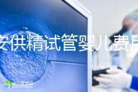 西安供精試管嬰兒費(fèi)用流出,2024年需要哪些證明材料?