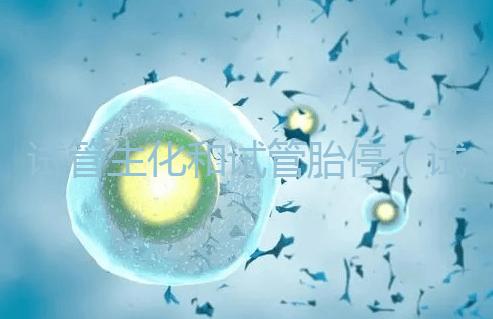 試管生化和試管胎停(試管生化和試管胎停的區別)