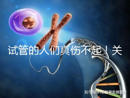 試管的人們真?zhèn)黄穑£P(guān)于養(yǎng)囊的成功率這些你得知道