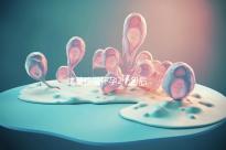 試管移植懷孕2個月后，還能不能吃酸筍田螺？