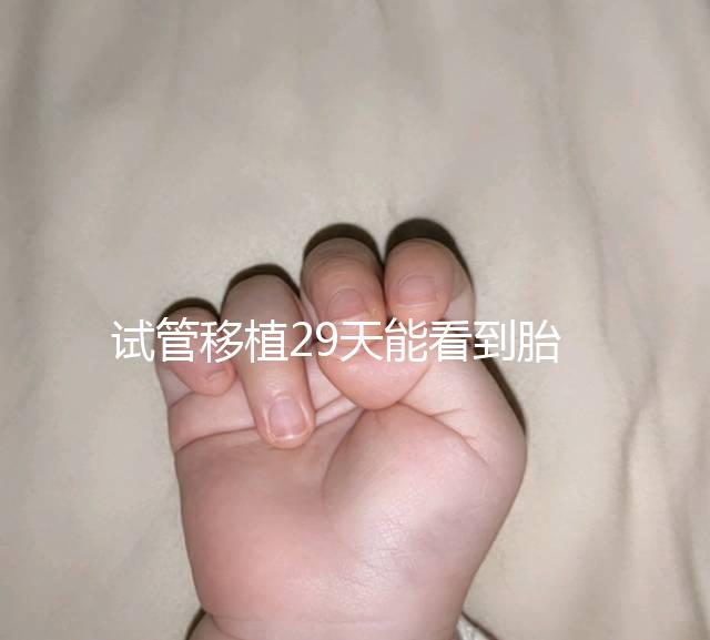 試管移植29天能看到胎心嗎？B超還能看孕囊大小和胎心