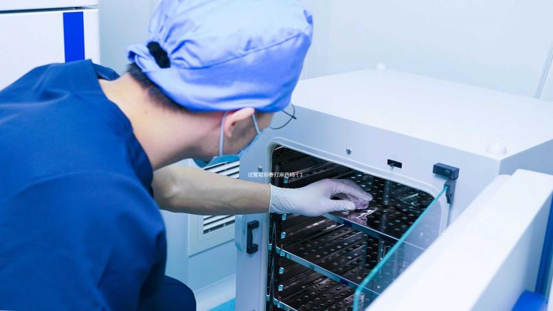 試管取卵要打麻藥嗎（10個(gè)人做試管幾個(gè)能成功）