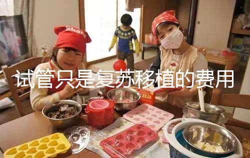 試管只是復蘇移植的費用并不高，看這就知道大概多少錢