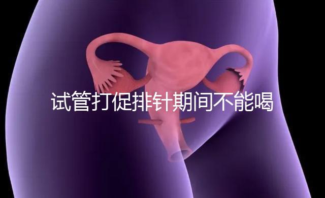 試管打促排針期間不能喝酵素減肥？把控好時間就行