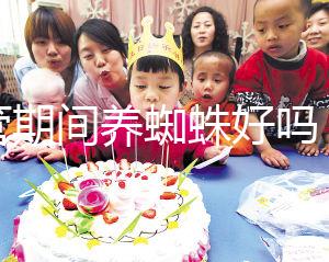 試管期間養(yǎng)蜘蛛好嗎?人們告訴你,這些影響應(yīng)該早知道