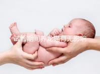 試管期間養龍貓有無影響剖析，是否胎停、流產取決這幾點