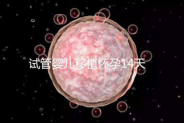 試管嬰兒移植懷孕14天，還能吃巧克力餅干嗎？