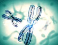 試管嬰兒取卵從哪里?。ㄔ嚬軏雰喝÷褟哪睦锶〉模? /></div><time date-time=