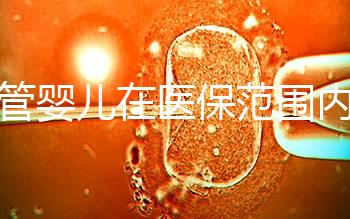 試管嬰兒在醫保范圍內（試管嬰兒在醫保范圍內能報銷嗎）