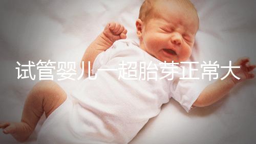 試管嬰兒一超胎芽正常大小不超這個(gè)數(shù),2mm不一定會(huì)胎停