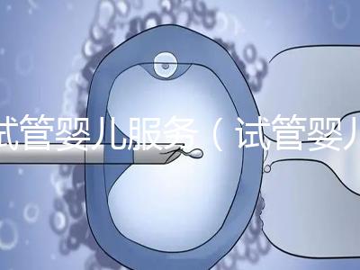 試管嬰兒服務(wù)(試管嬰兒服務(wù)公司合法嗎)