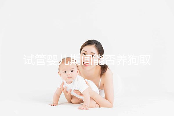 試管嬰兒期間能否養狗取決于情況，醫生：確保安全是前提