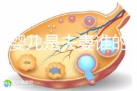 試管嬰兒是夫妻誰(shuí)的問(wèn)題(試管嬰兒是夫妻的嗎)