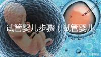 試管嬰兒步驟(試管嬰兒步驟過程詳細時間)
