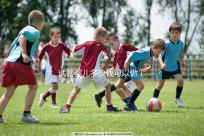 試管嬰兒多少錢可以做(試管嬰兒多少錢可以做性別嗎)