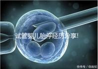 試管嬰兒胎停經(jīng)歷分享!3個(gè)小經(jīng)驗(yàn)讓你輕松告別胚胎停止發(fā)育