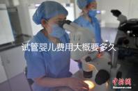 試管嬰兒費(fèi)用大概要多久成功(試管嬰兒女方遭罪嗎)