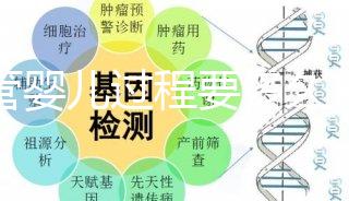 試管嬰兒過程要多久(試管嬰兒全過程需要多久)