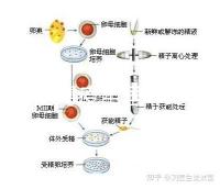 輪狀病毒疫苗雖非終身免疫,寶寶接種的好處不止一點(diǎn)