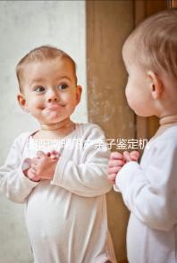 貴陽南明落戶親子鑒定機構十大排名，這些材料在2024年是必不可少的