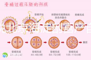 誰說北京海淀剖宮產自付費用高，了解2024年生育保險報銷比例？