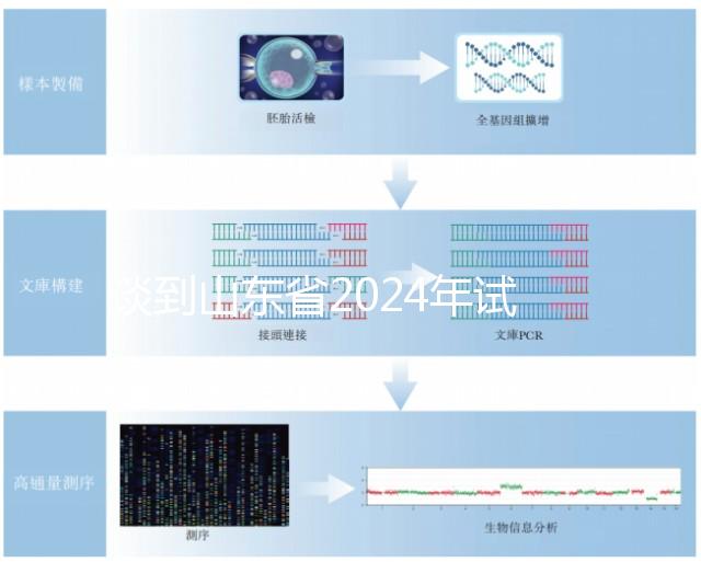 談到山東省2024年試管嬰兒的費用，錢主要花在這些地方