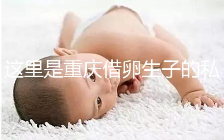 這里是重慶借卵生子的私立好醫(yī)院，附2024前三機(jī)構(gòu)詳細(xì)介紹