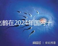 飛鶴在2024年國內(nèi)十大放心奶粉品牌中排名第一
